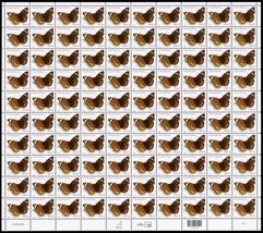 Common Buckeye Butterfly Sheet of One Hundred 24 Cent Postage Stamps Scott 4000 - £55.09 GBP