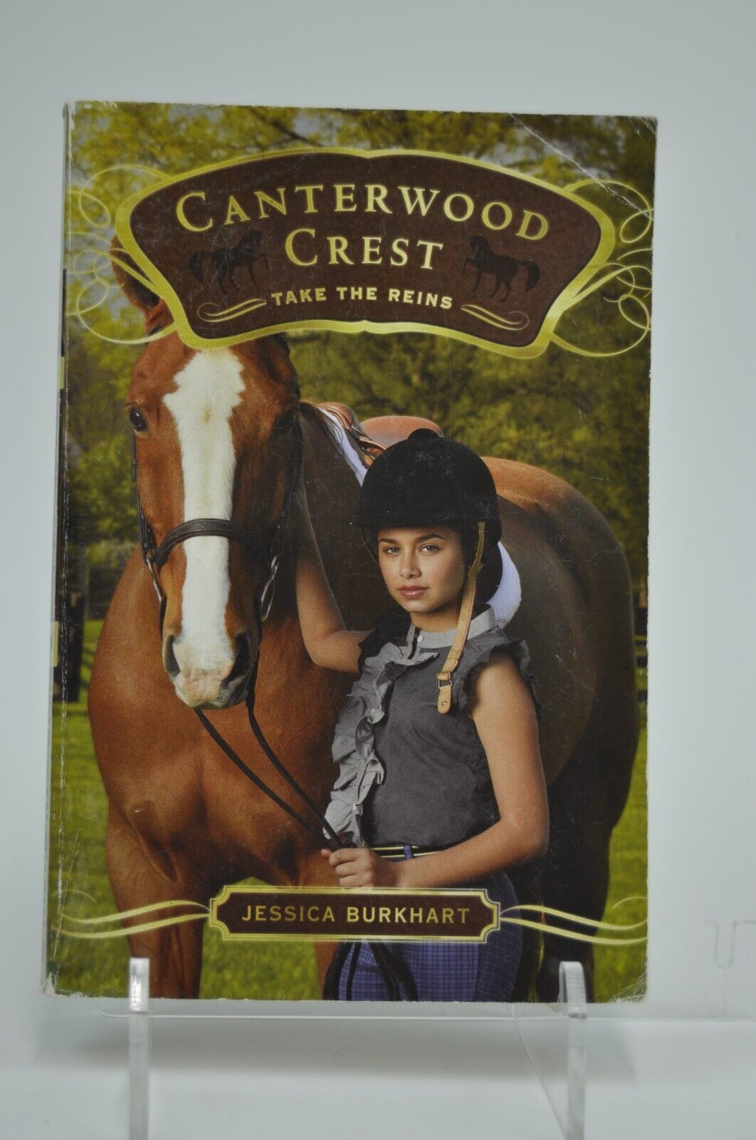 Primary image for Canterwood Crest Take the Reins Book 1 By Jessica Burkhart