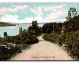 Road to Rangely Lake Maine ME DB Postcard U3 - £1.53 GBP