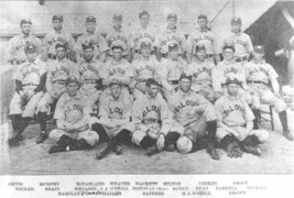 1903 ST. LOUIS CARDINALS 8X10 TEAM PHOTO BASEBALL PICTURE MLB - $4.94