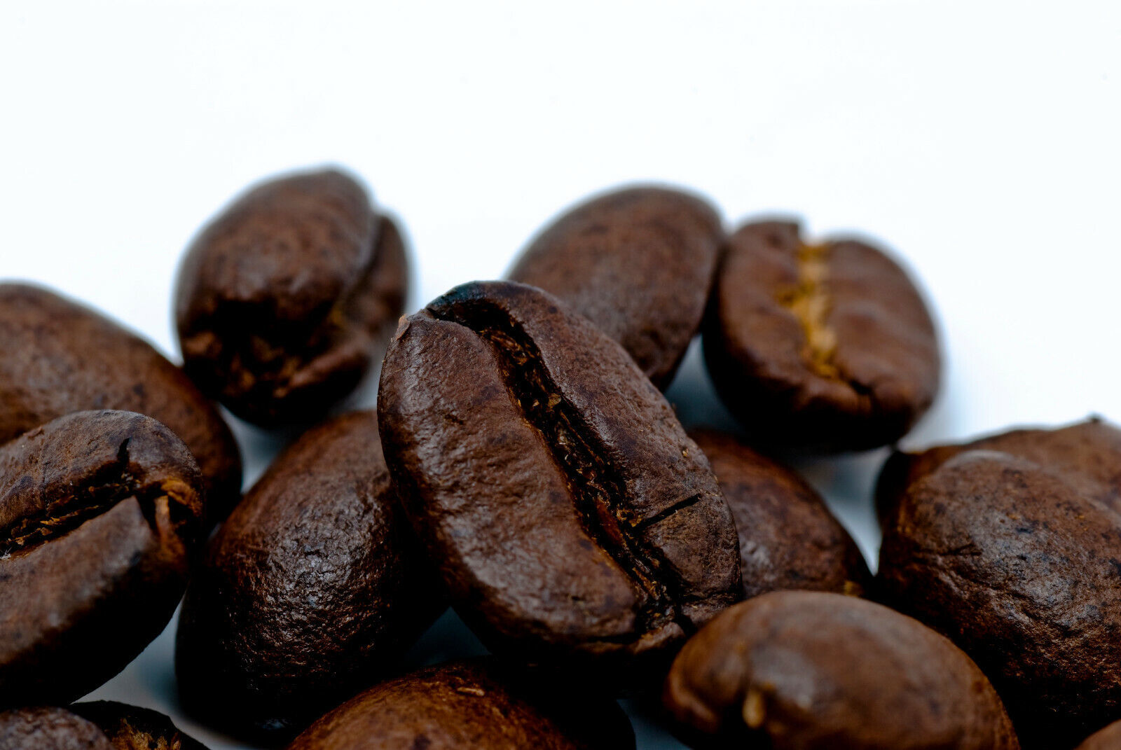 Primary image for KEITH'S COFFEE Caffe Siciliano 5 Bags Espresso of Tampa's Goodfellas