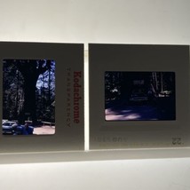 35mm Slide Photos Tourist Chandelier Tree California Redwood 1969 - £9.83 GBP