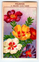 1920&#39;s Flower Art Print POURPIER Lithograph Original Vintage For Seed Pack - £10.09 GBP