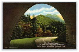 Loop Over Underpass Newfound Gap Hwy Great Smokey Mountains Linen Postcard Z2 - £1.45 GBP