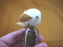 TNE-FIS-AQ-111-A) Tropical Reef Fish Tagua Nut Figurine Carving Vegetable Ivory - £14.91 GBP