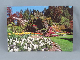 Vintage Postcard - Butchart Gardens the Sunken Garden - Traveltime - £11.74 GBP