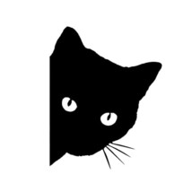 Car Black Cat Pee Stickers Funny Vinyl Decal Car Sticker Decoration Decals 15*12 - £23.16 GBP