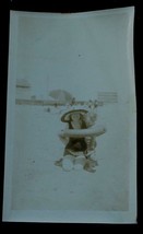 Item image 1 image 1