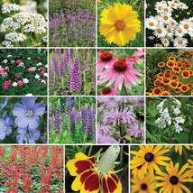 Best Wildflower Mix All Perennial Deer Resistant Pollinators Bees 350+ Seeds - £3.73 GBP
