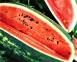 Congo Watermelon Seeds 25 Seeds Non-Gmo Fast Shipping - $7.99