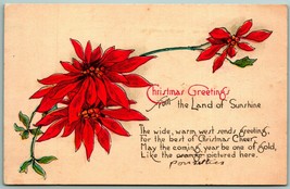 Christmas Greetings Poinsettia Flower Blossoms UNP DB Postcard J11 - £2.76 GBP