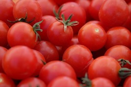 Large Red Cherry Tomato Seeds 150 Ct Vegetable Heirloom  From US - $7.18