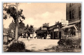 Chestnut Street View Roselle New Jersey NJ UNP Collotype Postcard V11 - $7.87