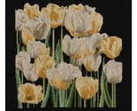 Thea Gouverneur - Counted Cross Stitch Kit - Tulips - Aida Black - 14 Co... - $34.99