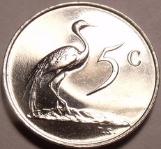 South Africa 1988 5 Cents Rare Proof~Only 7,250 Ever Minted~Blue Crane~Free Ship - £7.45 GBP