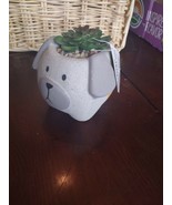 Animal Succulent Pot - £16.25 GBP