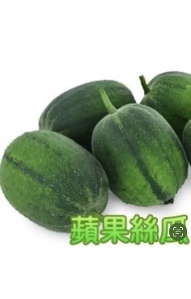 Fresh 20 Taiwan Apple Luffa Hybrid Seeds Very Sweet Can Be Eaten Raw Garden - £23.52 GBP