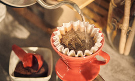 Hario V60 Coffee Dripper (Red Or White) - $40.00