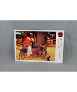 Vintage Postcard - Japanese Village Buena Park Deer Feeding - Continenta... - £11.72 GBP