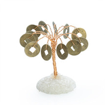 Ornamental Money Tree - £12.46 GBP