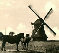 Vtg  RPPC Jever Germany Slaughterhouse Mill Windmill Horses Schlachtmuhle UNP - £11.62 GBP