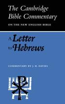 A Letter to Hebrews (Cambridge Bible Commentaries on the New Testament) ... - £11.73 GBP