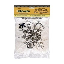 Halloween Spider Web and Spider  - $8.00