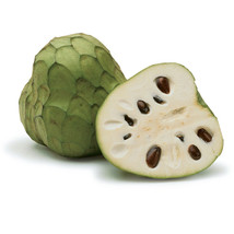 Annona cherimola cherimoya seeds, semillas chirimuya semillas FREE SHIPPING - $7.38+