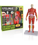 Be Amazing! Toys Interactive Human Body - 60 Piece Fully Poseable Anatom... - £20.33 GBP