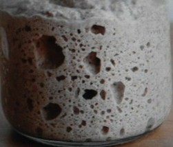 sourdough starter from the san francisco wharf culture yeast flour dough... - $7.73
