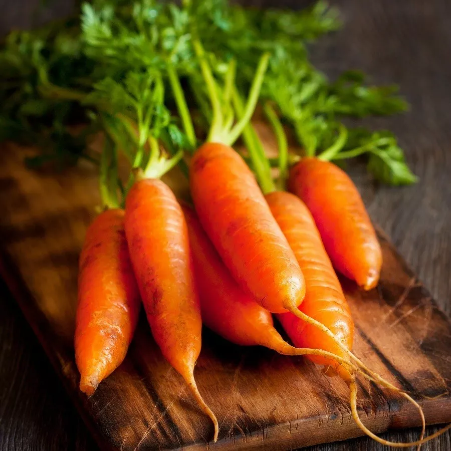300 LITTLE FINGERS CARROT VEGETABLE SEEDS FOR GARDEN - $133.04 MXN