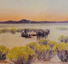 1927 Afterglow Cowboy Donkeys Camp Southwest Plate Print Arizona Desert DWPP14 - £31.62 GBP