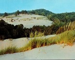 Lake Michigan Sand Dunes Michigan MI UNP Chrome Postcard L2 - $3.91