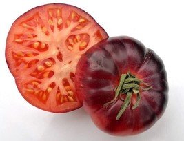 50 Seeds Queen of the Night Tomato Tomatoe Vegetable Garden    - $7.25