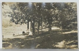 Milwaukee Wisconsin RPPC Scenic View Horses River Lake Side Postcard K11 - £10.35 GBP