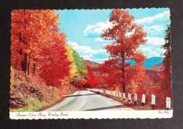 Autumn Colors Along Winding Roads Fall Foliage Scalloped Dexter Postcard 1960s - £3.14 GBP