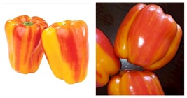 50 Seeds Aloha Peppers Hawaiian Semi Sweet Vegetable Garden - £20.33 GBP