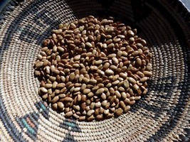 Rose&#39;s Concho Bean - grown for generations in Northern New Mexico - $5.50