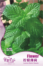 Heirloom Lemon Balm Herb Seeds Original Pack 40 Seeds Pack Mentha Citrat... - $6.23