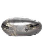 Rare Janardhana Shaligram / Shriprada Janardana Salagram - Gandaki River... - $193.04
