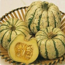 40 Plus Sweet Dumpling Winter Squash Seeds Non Gmo Seeds Open Pollinated - $6.00