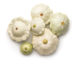 HGBO 50 Seeds Early White Bush &quot;Patty Pan&quot; Scallop Squash Seeds Pattypan Vegetab - $8.72