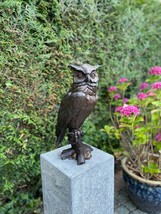 Elegant bronze owl sculpture with lifelike detail –  20x17x42cm - 6Kg - $699.95