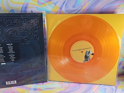 Lot of 2 Ryan Adams Records (New): Cold Roses 2xLP, Easy Tiger Orange Item image 5