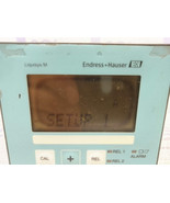 Endress+Hauser LIQUISYS-M pH/Redox Panel CPM223-PR0010 - £329.25 GBP