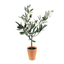 Potted Olive Tree Topiary 22&quot;H - 851444 - $72.31 CAD