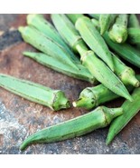 SKM Emerald Okra Seeds 50 Vegetable Non Gmo Heirloom Easy to Grow - $243.98 MXN