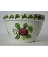 Portmeirion Pomana Flower Plant Pot Planter Bowl Plum, Cherry, Apple, Pe... - $39.60