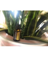 doTERRA Sunny Citrus 15 mL Essential Oil  NEW &amp; SEALED Exp 04/29 - $22.44