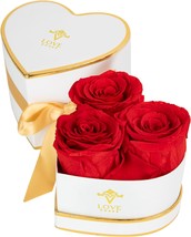 Forever Preserved Roses in a Box Real Roses That Last Over A Year Natura... - £54.93 GBP